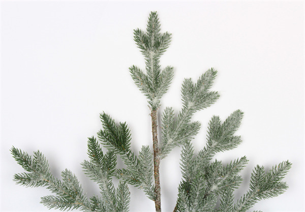 branches for decoration tall ice finish.jpgBranches for Decoration Tall Ice.jpg