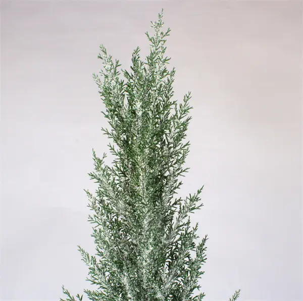 Pinheiro de Natal para Home Party.jpg Pine Tree for Christmas for Home Party.jpg