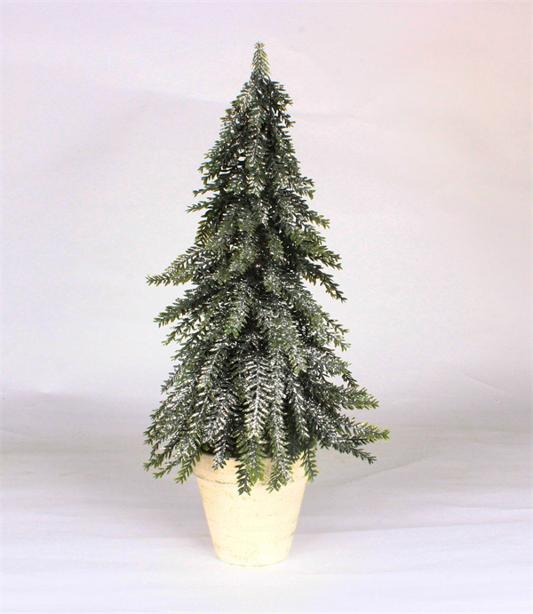 Cedar Trees for Holiday Party Home.jpg